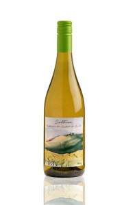 sartarelli colline_castelli_d_jesi_doc_-colline-7801